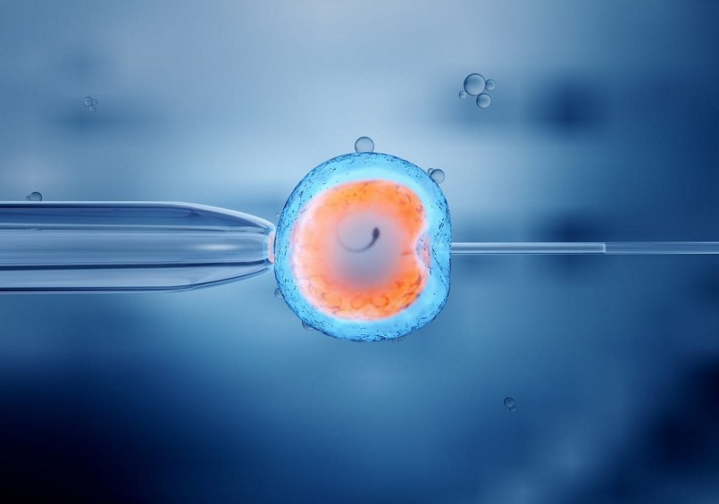 Thụ tinh trong ống nghiệm (IVF). Thụ tinh trong ống nghiệm (IVF).