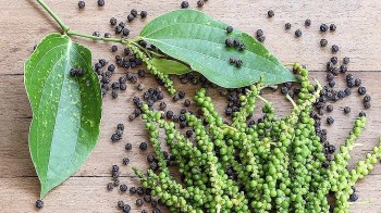 Giá tiêu hôm nay 16/10: Thị trường nội địa ổn định, xuất khẩu đối mặt thách thức lớn