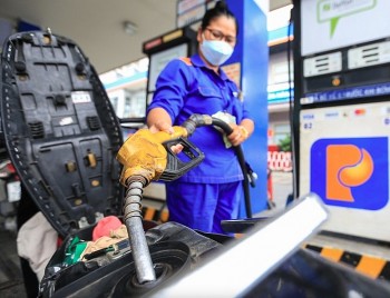 Giá xăng tăng nhẹ, RON95 tiến sát mốc 20.000 đồng/lít