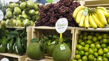 Chế biến sâu – "Chìa khóa vàng" giúp rau quả Việt hướng tới kỷ lục xuất khẩu 8 tỷ USD