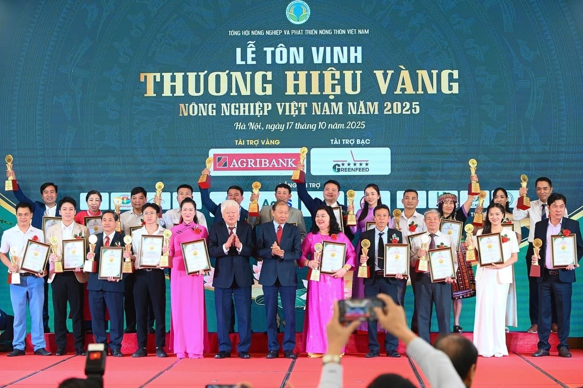 Tôn vinh 90 thương hiệu Vàng nông nghiệp Việt Nam năm 2025 đóng góp tích cực vào sự phát triển bền vững của ngành nông nghiệp Việt Nam. Ảnh: Tùng Đinh Tôn vinh 90 thương hiệu Vàng nông nghiệp Việt Nam năm 2025 đóng góp tích cực vào sự phát triển bền vững của ngành nông nghiệp Việt Nam. Ảnh: Tùng Đinh