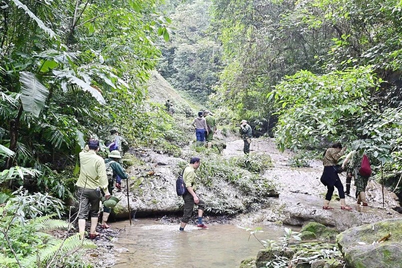 Người dân bản Phú Minh và các lực lượng chức năng đi kiểm tra rừng cộng đồng - Ảnh: X.V