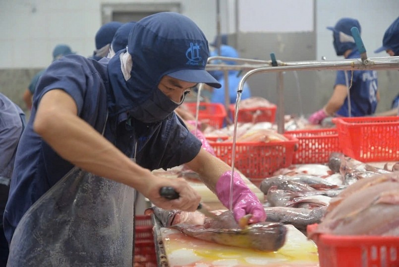 Thủy sản Việt Nam và cơ hội mở rộng thị trường EU Thủy sản Việt Nam và cơ hội mở rộng thị trường EU