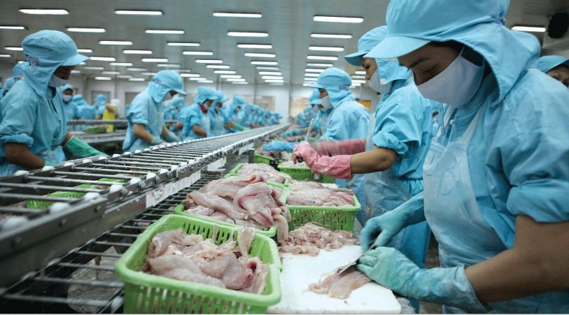 Từ xuất khẩu đến nội địa: Bước ngoặt tái định vị của thủy sản Việt Từ xuất khẩu đến nội địa: Bước ngoặt tái định vị của thủy sản Việt