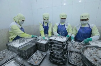 Từ xuất khẩu đến nội địa: Bước ngoặt tái định vị của thủy sản Việt