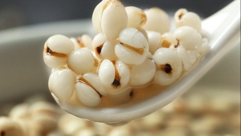 Bộ Y tế thu hồi toàn quốc dược liệu ý dĩ không rõ nguồn gốc