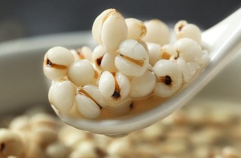 Bộ Y tế thu hồi toàn quốc dược liệu ý dĩ không rõ nguồn gốc