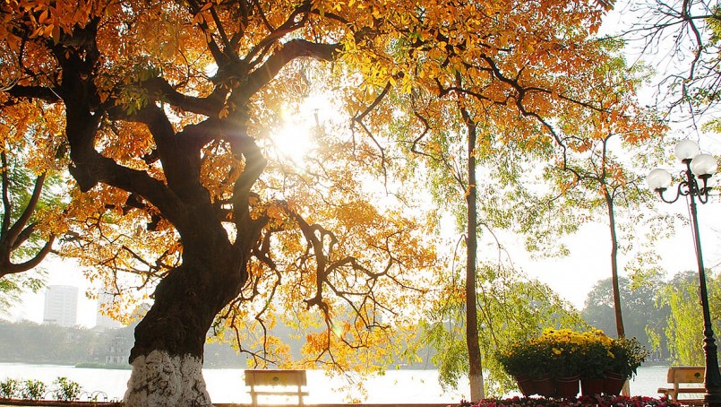 Hội chợ mùa Thu 2025: Trải nghiệm mùa thu lãng mạn tại Hà Nội Hội chợ mùa Thu 2025: Trải nghiệm mùa thu lãng mạn tại Hà Nội