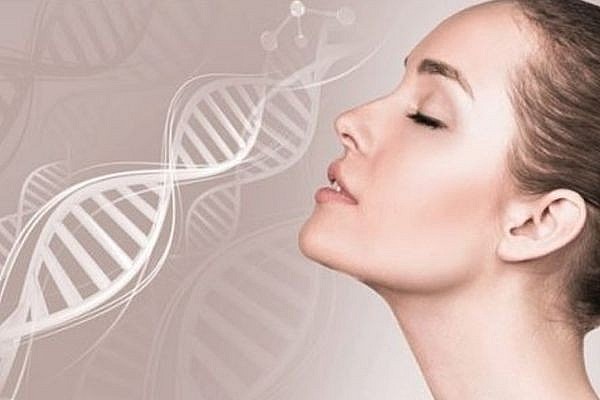 Collagen là loại protein dồi dào nhất trong cơ thể, chiếm khoảng 30% tổng lượng protein. Nó là thành phần chính xây dựng nên da, xương, cơ, gân và dây chằng. Collagen là loại protein dồi dào nhất trong cơ thể, chiếm khoảng 30% tổng lượng protein. Nó là thành phần chính xây dựng nên da, xương, cơ, gân và dây chằng.