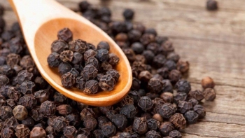 Chuyên gia dự báo giá hò tiêu có thể vượt mốc 155.000 đồng/kg