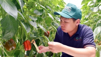 Nông sản “xanh” Việt Nam mở lối chinh phục thị trường EU