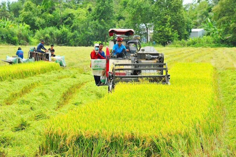Sản xuất lúa giảm phát thải tại Đồng bằng sông Cửu Long. Sản xuất lúa giảm phát thải tại Đồng bằng sông Cửu Long.