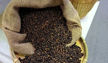 Nông sản Việt vươn xa nhờ dấu chân carbon thấp