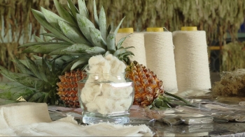 Hợp tác xã nông nghiệp xanh: Chuyển đổi để vươn tầm phát triển