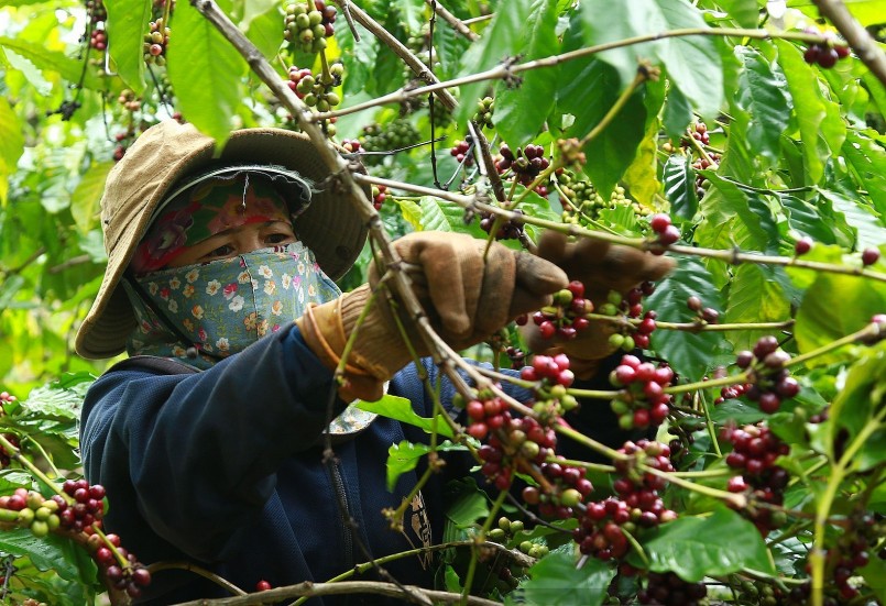 Nâng cao quản trị thuế: Giải pháp cho doanh nghiệp Việt Nâng cao quản trị thuế: Giải pháp cho doanh nghiệp Việt