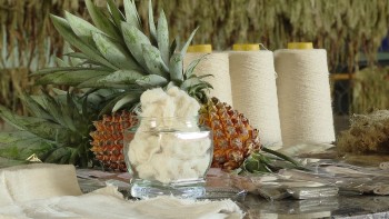 Hợp tác xã nông nghiệp xanh: Chuyển đổi để vươn tầm phát triển