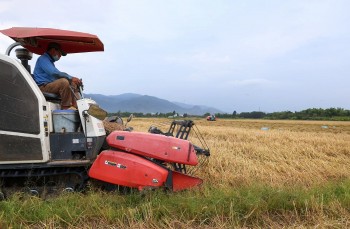 Nâng tầm nông sản nhờ chuỗi liên kết bền vững