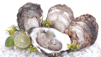 Mẫu lệ - Vị thuốc đến từ biển