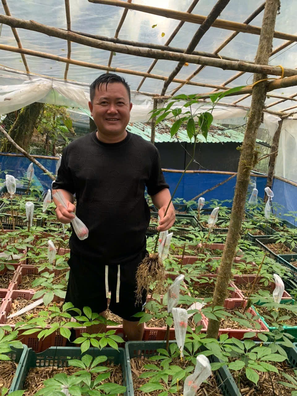 Bài 1: Nơi lưu giữ “quốc bảo” giữa đại ngàn: “Rừng nuôi sâm, sâm giữ rừng”