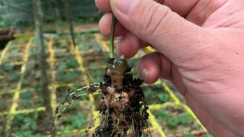 Nơi lưu giữ “quốc bảo” giữa đại ngàn: Thiên tai không làm nản lòng người