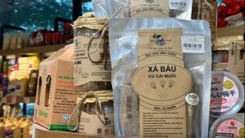 Người "thổi hồn" cho hành tím, củ cải Vĩnh Châu vươn ra biển lớn