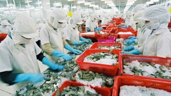 Doanh nghiệp Việt cần thích ứng để chinh phục EU