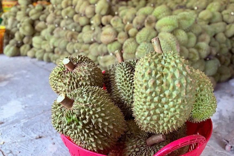 Gần 2.000 container sầu riêng ùn ứ, Hiệp hội Đắk Lắk kiến nghị khẩn gỡ khó Gần 2.000 container sầu riêng ùn ứ, Hiệp hội Đắk Lắk kiến nghị khẩn gỡ khó