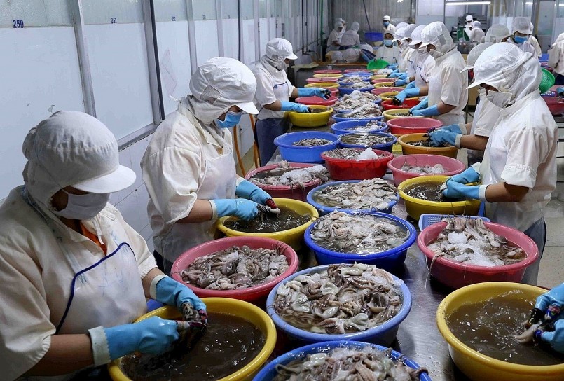 Thủy sản Việt Nam trước bước ngoặt gỡ thẻ vàng IUU Thủy sản Việt Nam trước bước ngoặt gỡ thẻ vàng IUU