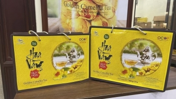 Lan tỏa thương hiệu từ giá trị văn hóa và khát vọng vươn xa