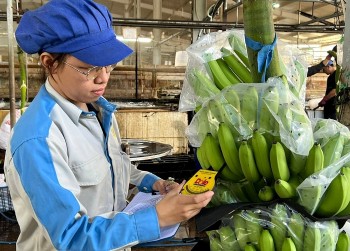 Việt Nam vươn lên thành nguồn cung rau quả lớn thứ tư cho thị trường Đài Loan