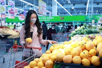 Phát triển thị trường bán lẻ Việt Nam: Giảm chi phí logistics và đẩy mạnh công nghệ số là then chốt