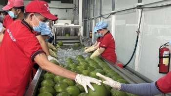 Mở rộng "đường băng" cho rau quả Việt Nam vào thị trường Đài Loan