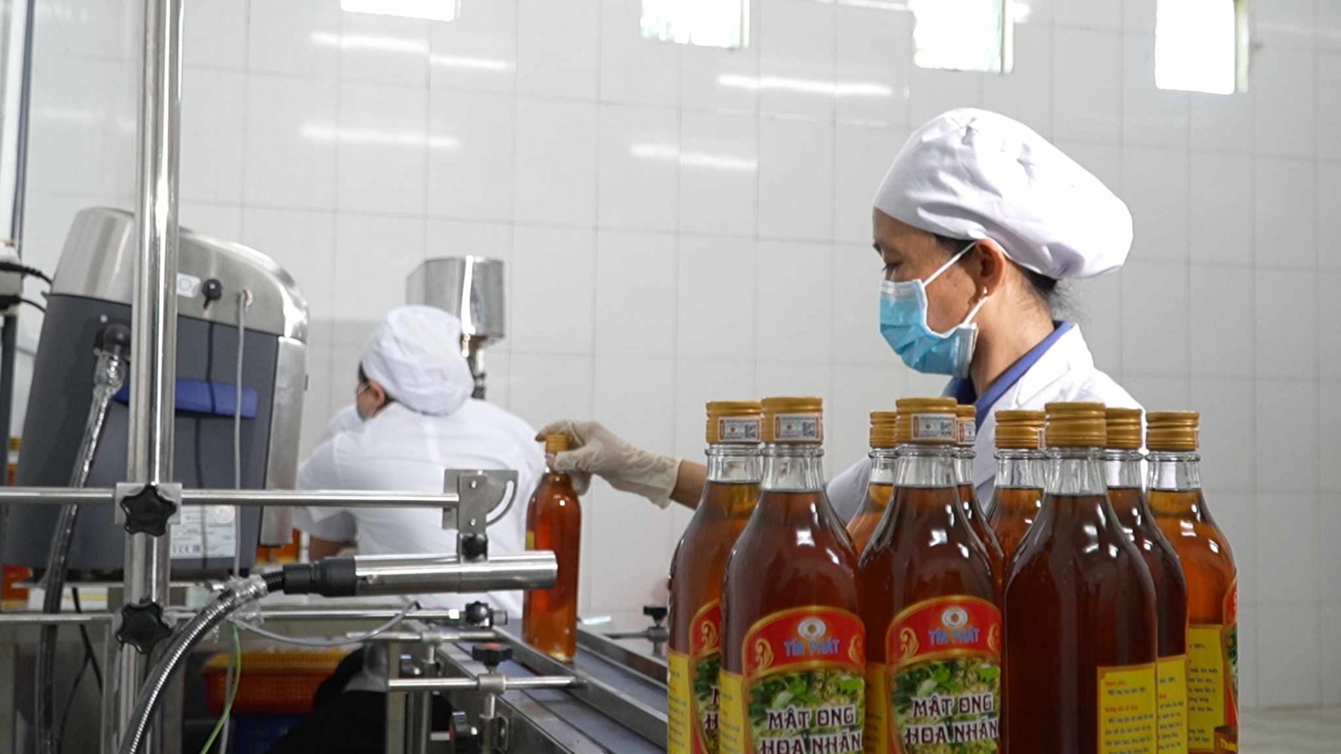 Mật ong Tín Phát: Khẳng định tinh hoa Việt từ “xứ dừa” ra thế giới