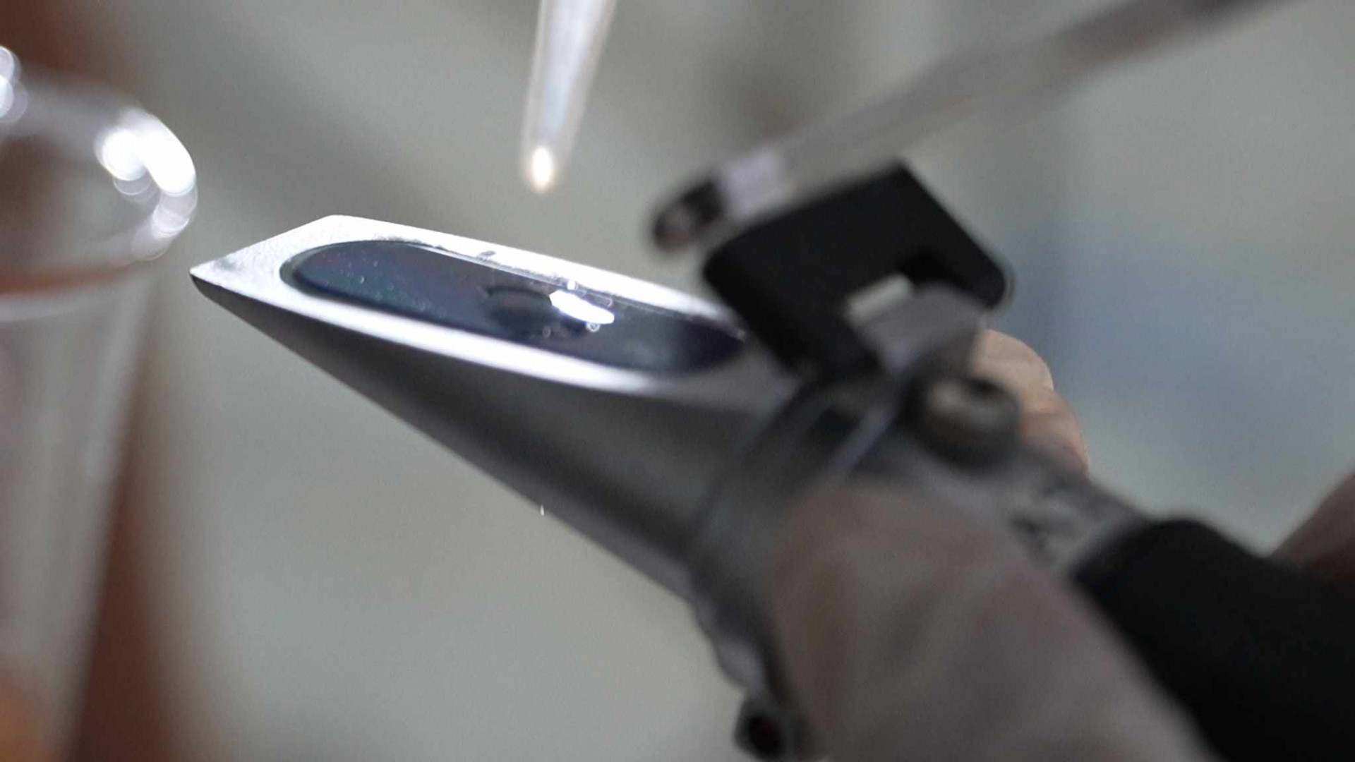 Mật ong Tín Phát: Khẳng định tinh hoa Việt từ “xứ dừa” ra thế giới