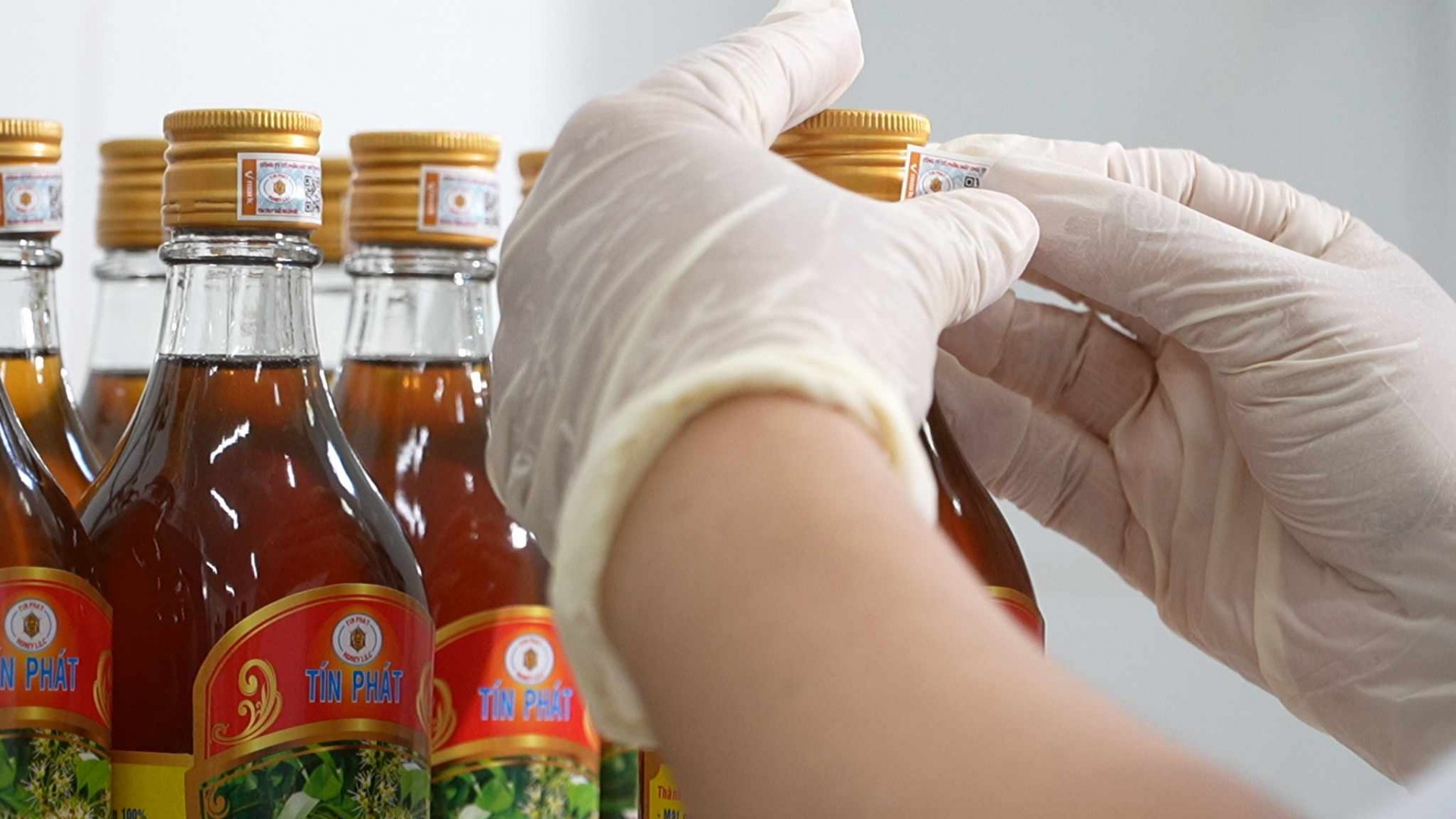 Mật ong Tín Phát: Khẳng định tinh hoa Việt từ “xứ dừa” ra thế giới