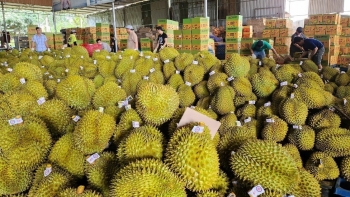 Quan hệ thương mại Việt – Trung bước vào giai đoạn phát triển mới