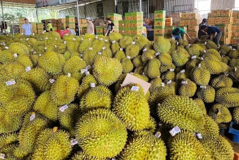 Quan hệ thương mại Việt – Trung bước vào giai đoạn phát triển mới