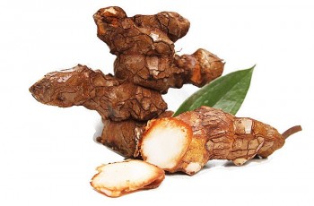 Khúc khắc – Vị thuốc quý giúp giải độc, trị gout và làm mạnh gân cốt