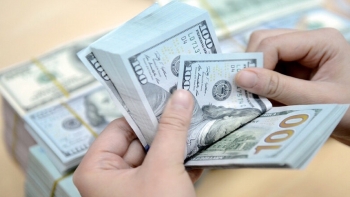 Ngân hàng Nhà nước yêu cầu báo cáo về thanh tra ngoại tệ trước 10/11