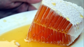Cách phân biệt mật ong thật giả để không mất tiền oan
