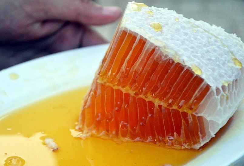 Mật ong rừng U Minh Hạ cũng là mặt hàng được săn đón với giá từ 600.000 đồng đến 1,2 triệu đồng/lít tùy loại. Mật ong rừng U Minh Hạ cũng là mặt hàng được săn đón với giá từ 600.000 đồng đến 1,2 triệu đồng/lít tùy loại.