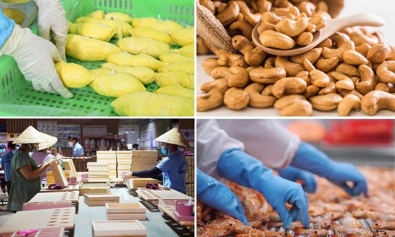 Nông sản Việt và hành trình “ghi dấu” tại thị trường EU Nông sản Việt và hành trình “ghi dấu” tại thị trường EU