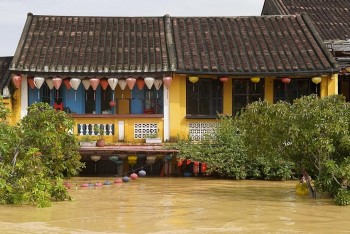 Bão Kalmaegi mạnh cấp 11, miền Trung đối mặt nguy cơ 