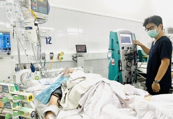 Gia tăng rắn độc cắn mùa mưa lũ: Sơ cứu sai cách có thể gây tử vong