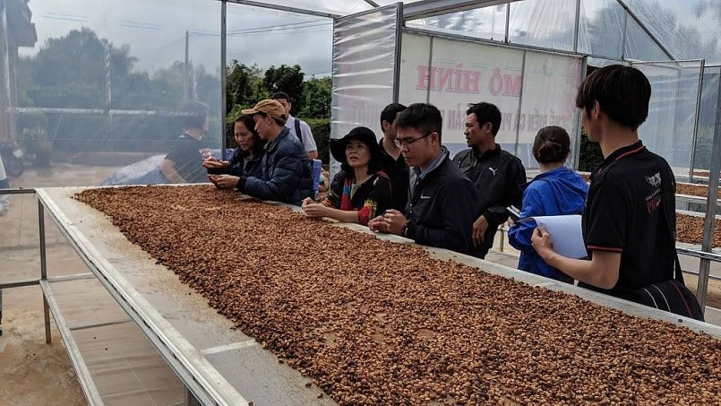 Cà phê Việt Nam lập kỷ lục xuất khẩu: Cơ hội vàng hay thách thức lớn? Cà phê Việt Nam lập kỷ lục xuất khẩu: Cơ hội vàng hay thách thức lớn?