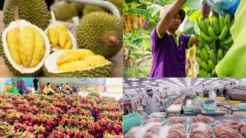 Xuất khẩu nông sản lập kỷ lục: Đạt hơn 58 tỷ USD sau 10 tháng