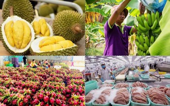 Xuất khẩu nông sản lập kỷ lục: Đạt hơn 58 tỷ USD sau 10 tháng