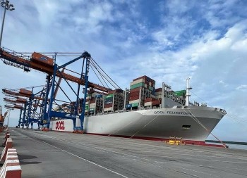 Từ ưu đãi thuế quan đến năng lực xanh: Hành trình mới của EVFTA