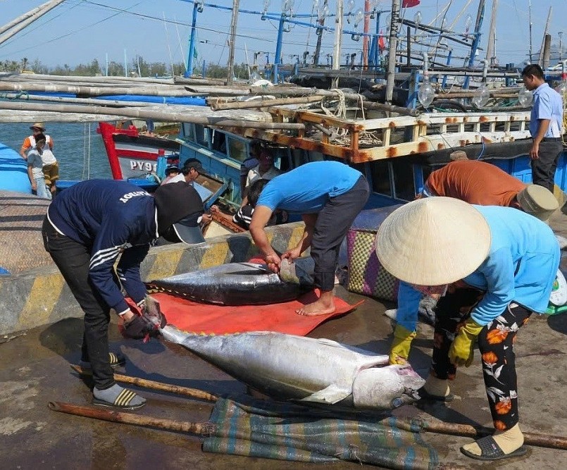 Việt Nam đứng thứ 7 trong danh sách các nước xuất khẩu thủy sản vào EU. Việt Nam đứng thứ 7 trong danh sách các nước xuất khẩu thủy sản vào EU.