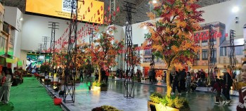 Hội chợ Mùa Thu 2025: 